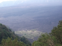 nte Rinatu-20110615 105